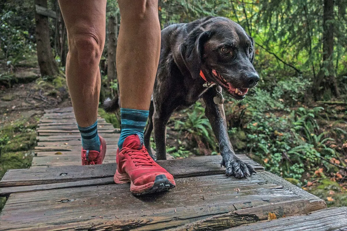 ARCTERYX Norvan LD Shoe Ws Dragon Fruit/Poseidon