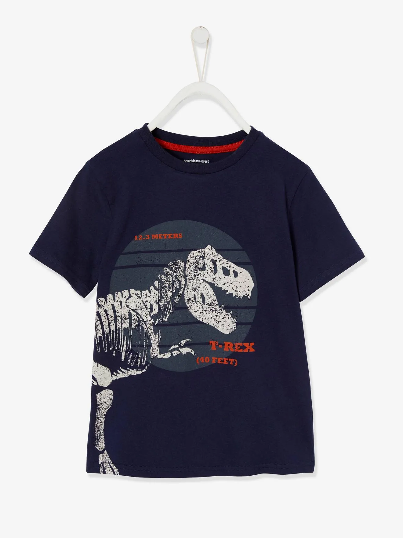 Camiseta con dinosaurio gigante, para niño