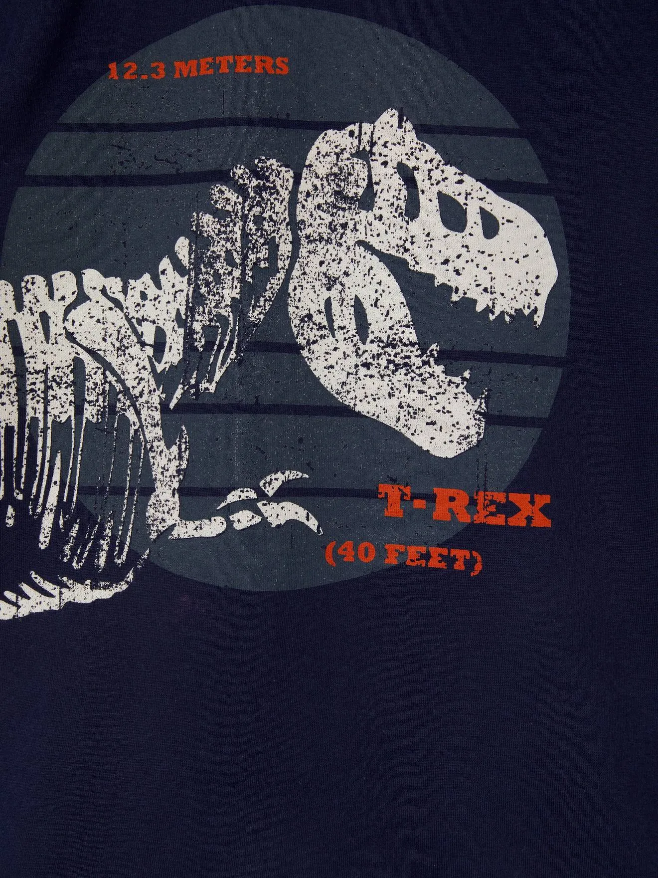 Camiseta con dinosaurio gigante, para niño