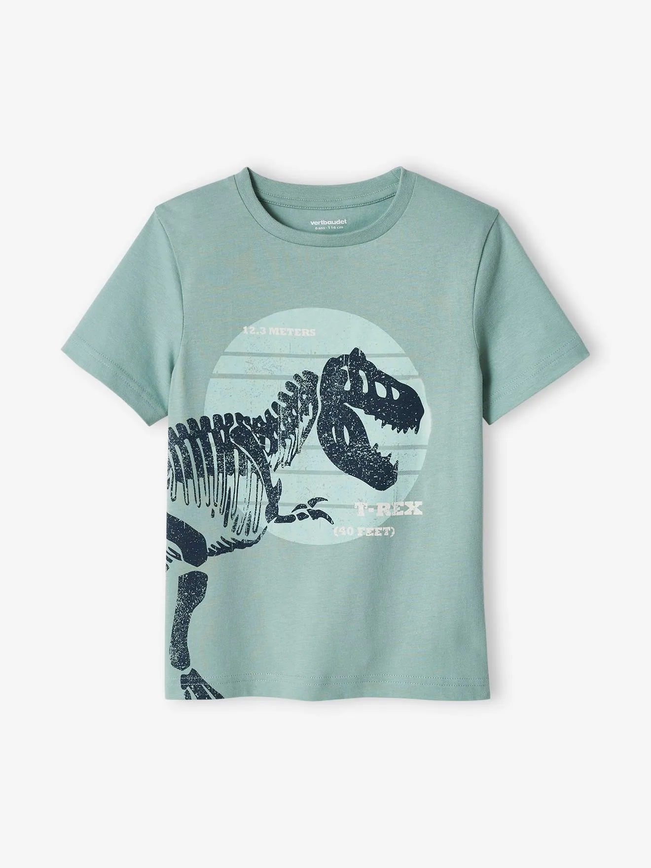 Camiseta con dinosaurio gigante, para niño