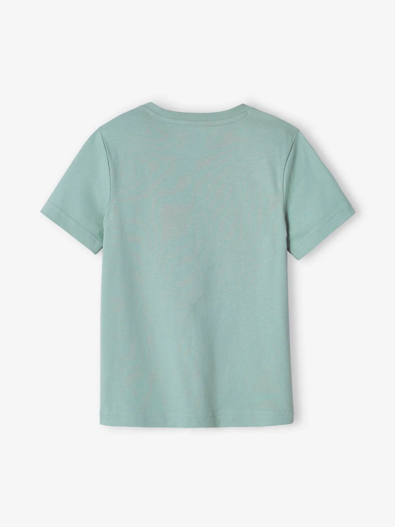 Camiseta con dinosaurio gigante, para niño