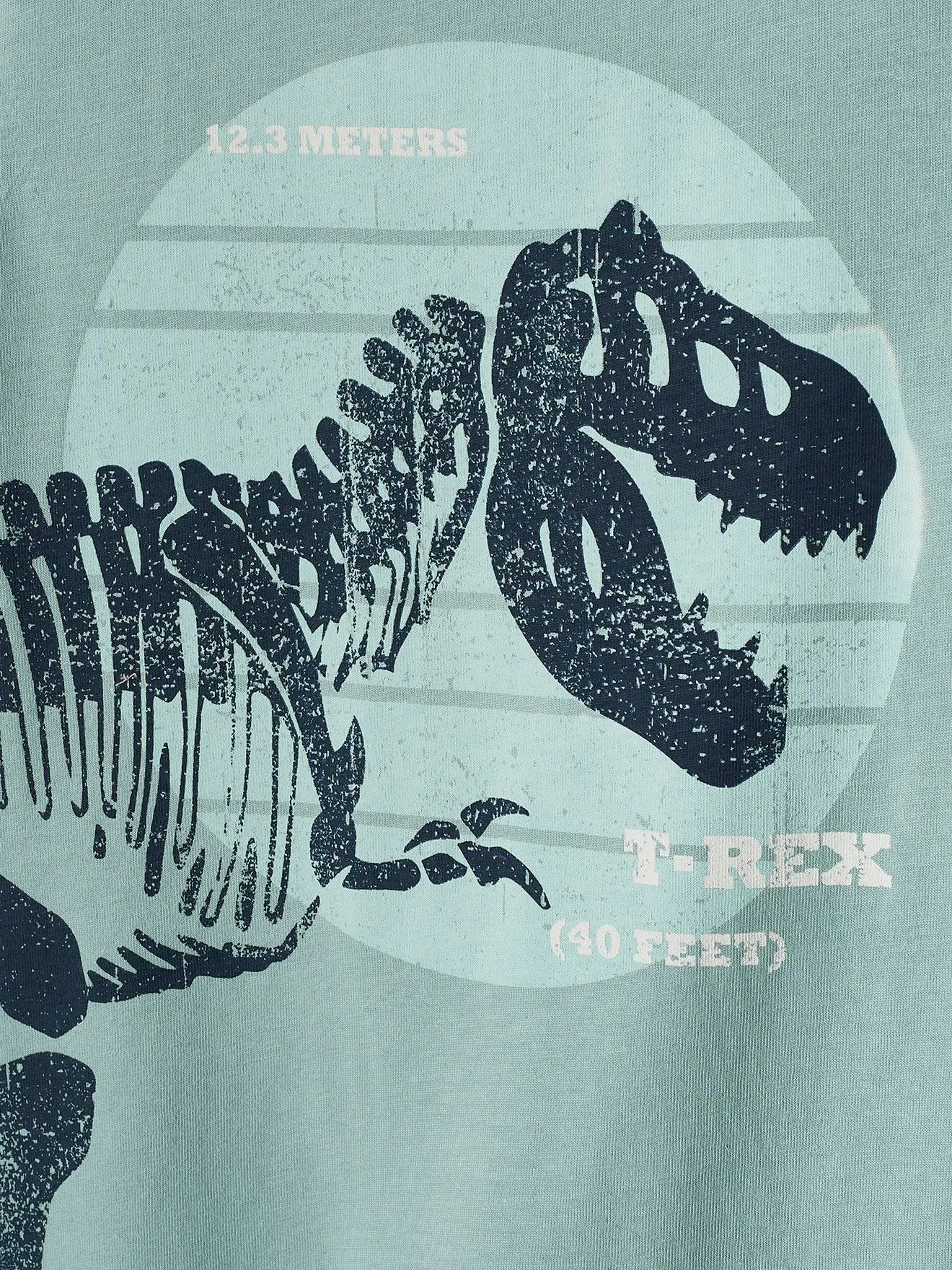 Camiseta con dinosaurio gigante, para niño