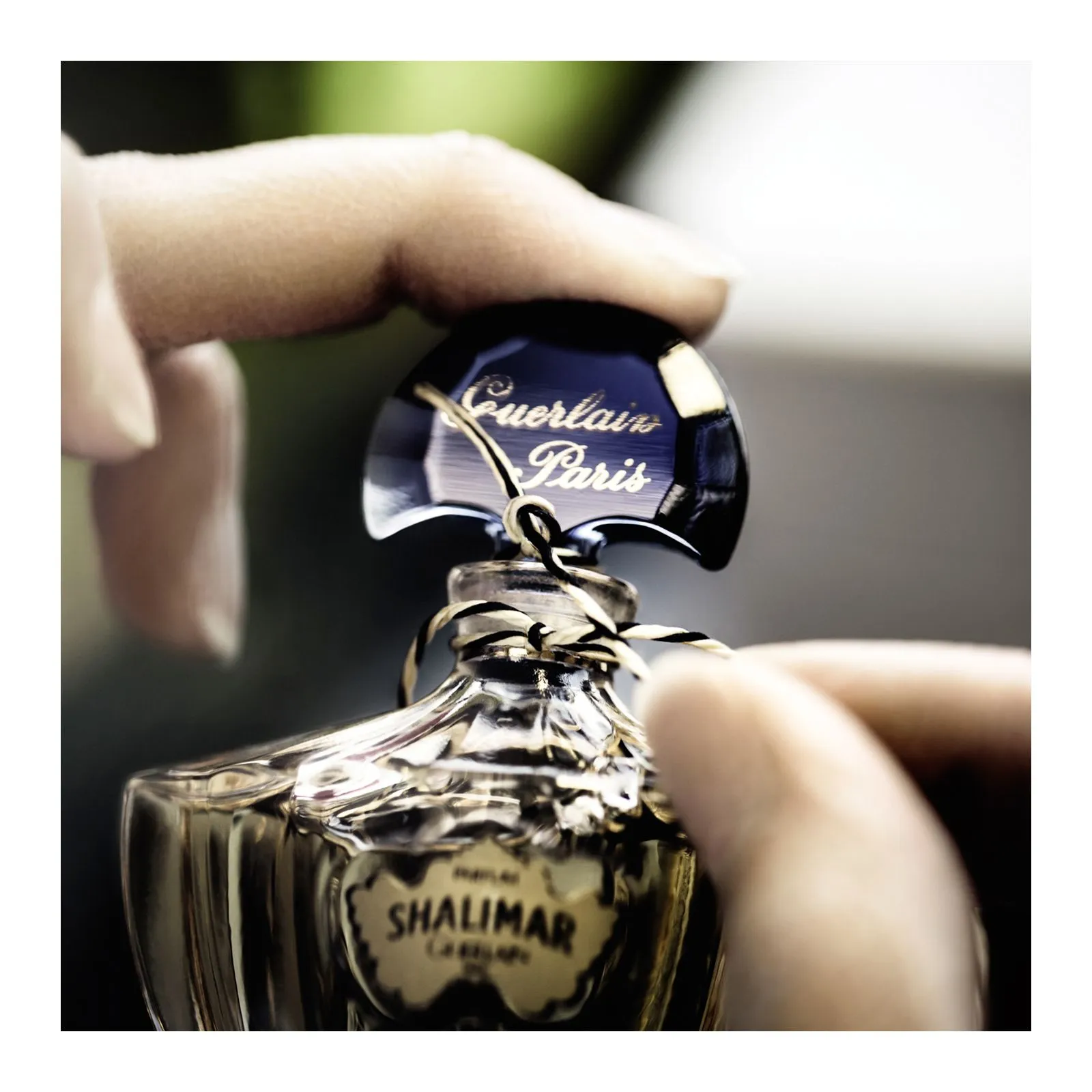 GUERLAIN SHALIMAR  EAU DE TOILETTE