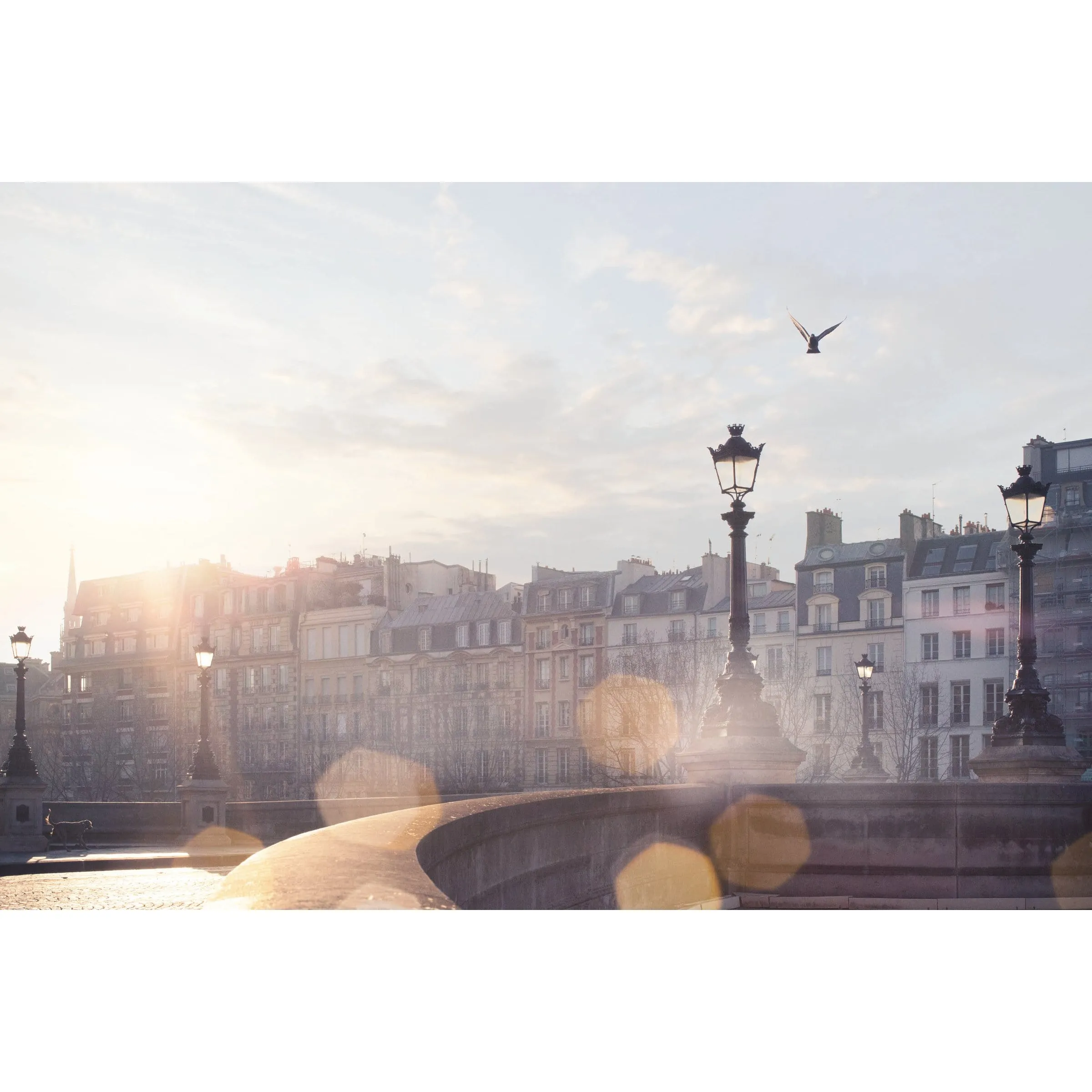 Petit Matin Maison Francis Kurkdjian Eau de Parfum